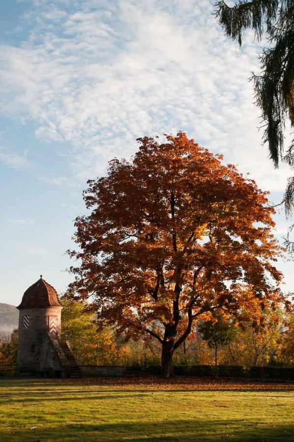 Zimmervermietung Vock Eschwege Zewnętrze zdjęcie